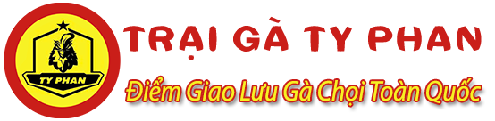 Trại gà Ty Phan